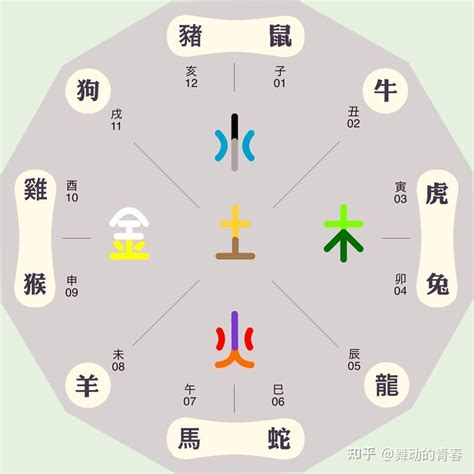 12生肖五行|十二生肖与五行的对照表 十二生肖代表什么五行